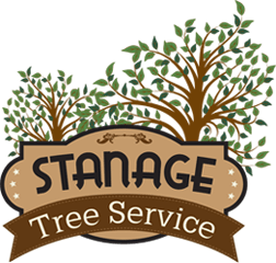 Stanage Tree service Certified Arborists